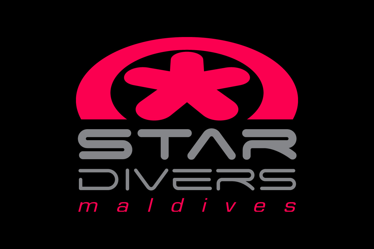 [Click for STAR-DIVERS]