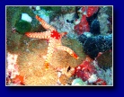[Click to enlarge]