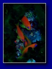 [Click to enlarge]