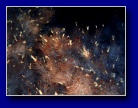 [Click to enlarge]