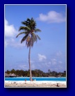 [Click to enlarge]